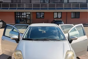 Punto Evo
