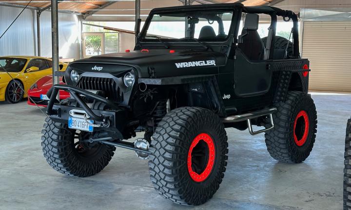 Jeep Wrangler 4.0 - OMOLOGATO