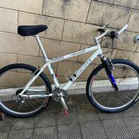 Bici mountain bike Specialized Rock Hopper