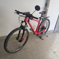 BiCI TUTTA IN CARBONIO