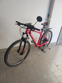 BiCI TUTTA IN CARBONIO