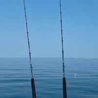 Coppia di canne da traina/drifting