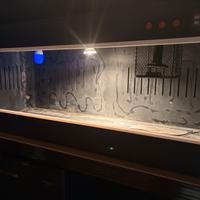 Terrario Reptiles PVC