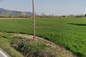 Terreno agricolo