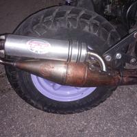 marmitta Leo vince TT per Minarelli verticale 