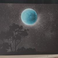 2 stampe su tela, cielo stellato e luna piena