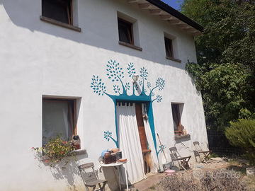 Casa singola in legno