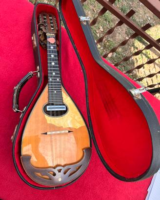 mandolino Masetti