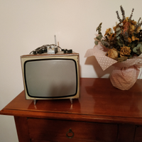 Televisore vintage Sinudyne