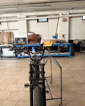 bicicletta elettrica