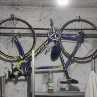 Bicicletta corsa passeggio pieghevole
