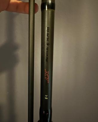 x2 Daiwa Black Widow 12ft 3lb