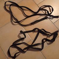Guinzagli connecto.dog