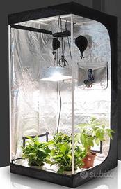 GROWTH BOX