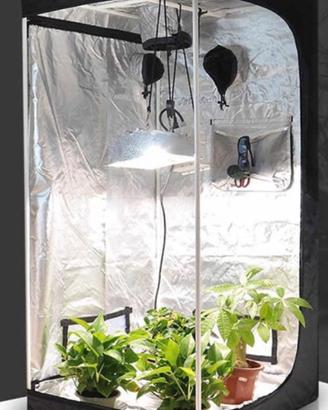 GROWTH BOX