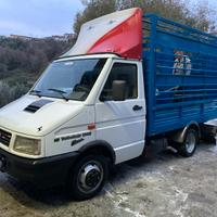 Daily trasporto animali vivi