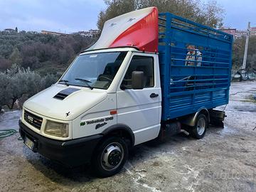 Daily trasporto animali vivi