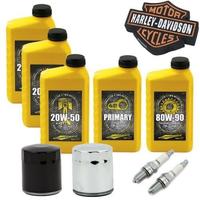 Kit tagliando harley davidson dyna softai