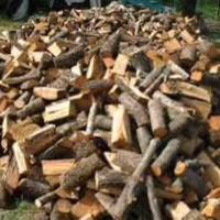 Legna da ardere (verde)