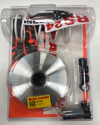 Variatore multivar piaggio 125 leader