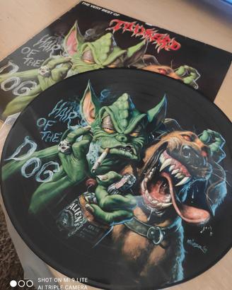 picture disc tankard