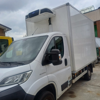 Fiat ducato frigo 2019