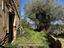 Immagine 10