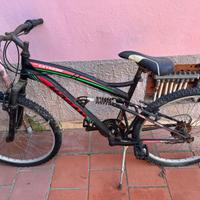 Mountain bike