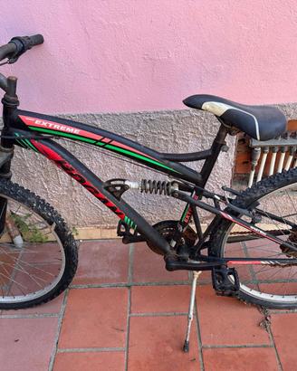 Mountain bike
