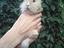 Immagine 4