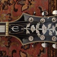 Epiphone emperor swinster