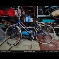 BICI DA DONNA MARCA OLMO