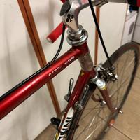 Colnago saronni