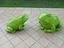 Immagine 3