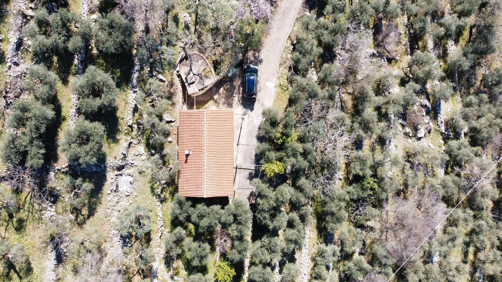 Terreno a uliveto con casa civile abitazione - Vista 2