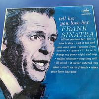 Dischi in vinile 33 giri