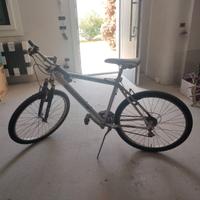 Bicicletta mtb