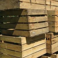 Cassette di legno per  vendemmia/arredo