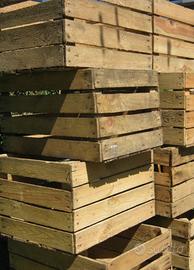 Cassette di legno per  vendemmia/arredo