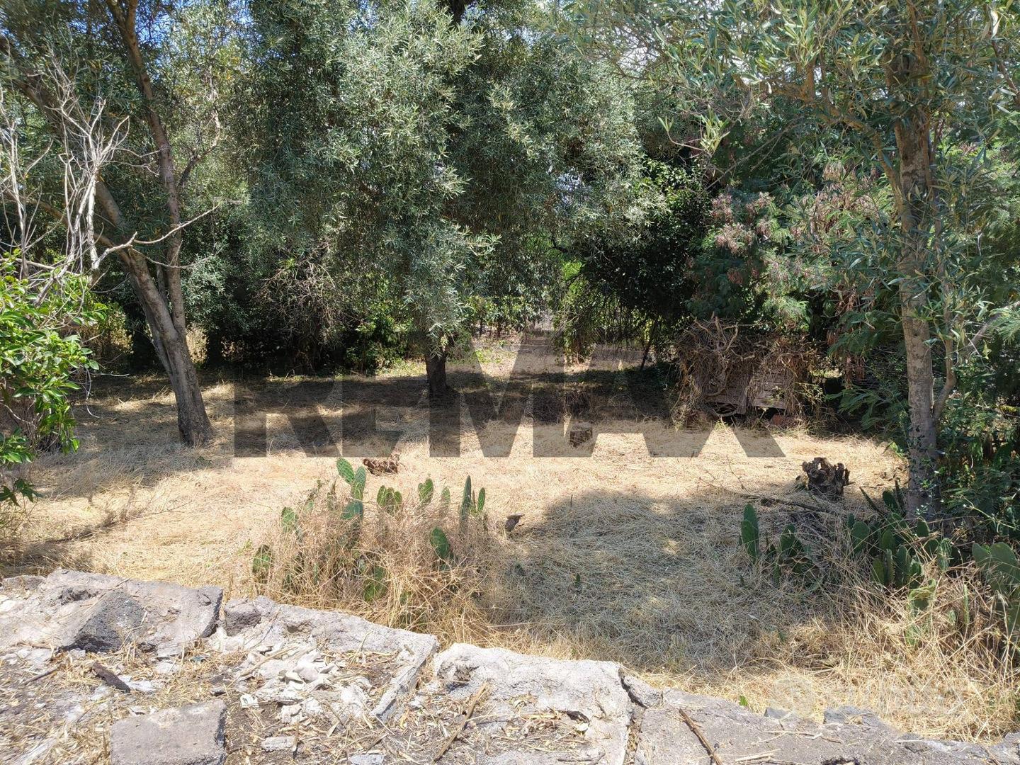 Terreno - Misterbianco - Vista 5