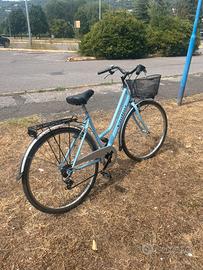 bici da passegglio violino