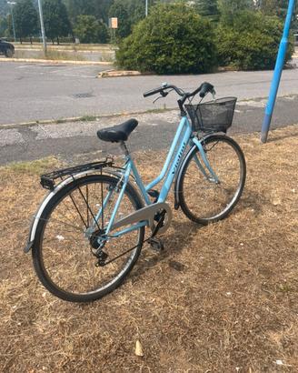 bici da passegglio violino