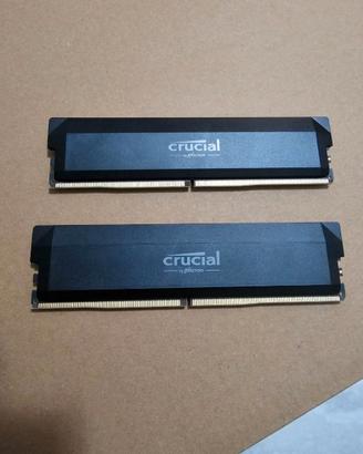 crucial 32gb 2x16 cl36 6000mhz intel e amd