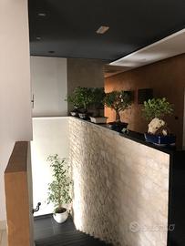 Centro benessere spa estetica