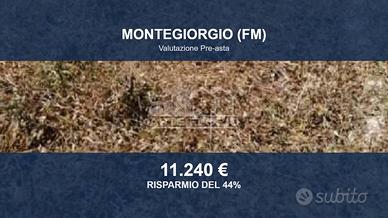 Immobile in asta di 33547 m² a Montegiorgio