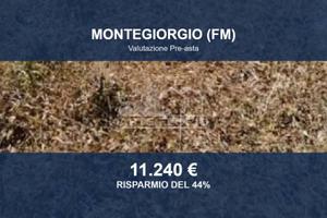 Immobile in asta di 33547 m² a Montegiorgio