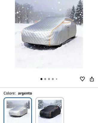 TELO COPRIAUTO DOBLO 2022