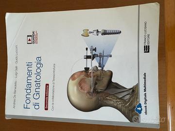 Fondamenti di Gnatologia