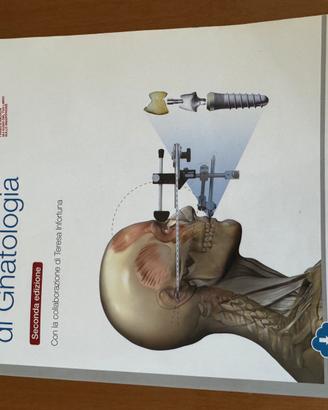 Fondamenti di Gnatologia