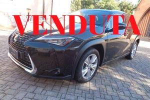 Lexus UX Hybrid Business